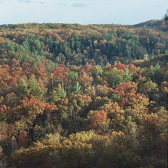 Red River Gorge in Fall